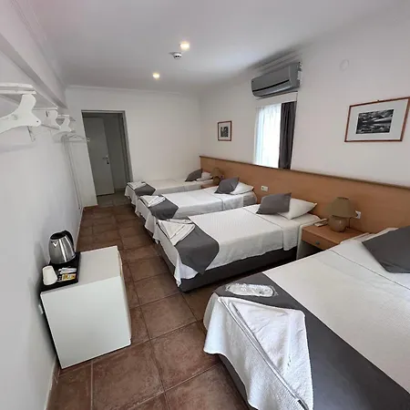 Mimosa Kaş