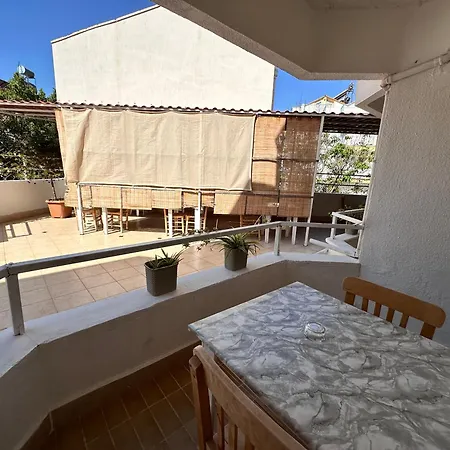 Mimosa Kaş