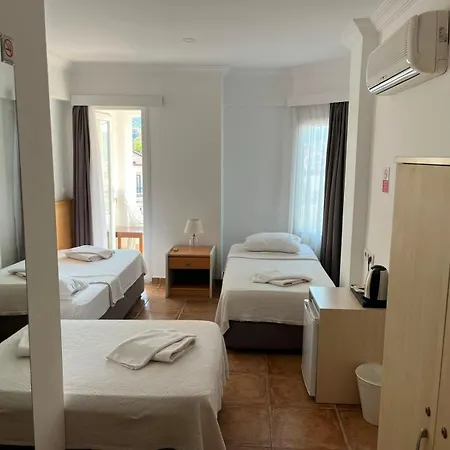 Mimosa * Kaş