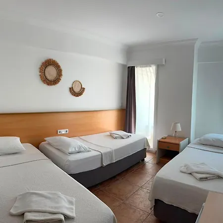 Mimosa Kaş