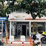 Mimosa * 카스