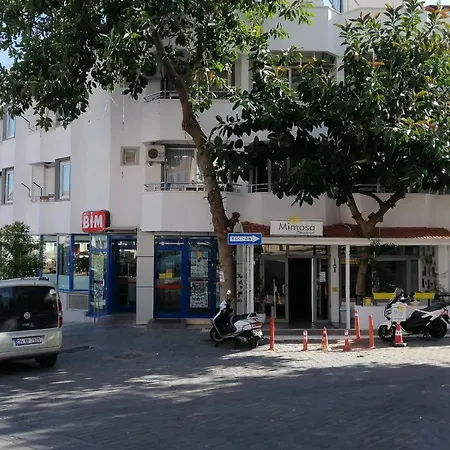 Mimosa منزل للإقامة *