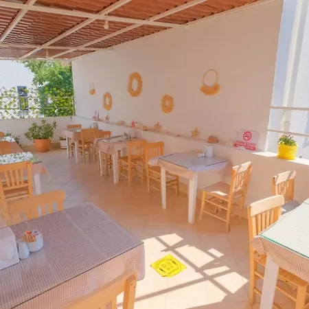 Mimosa * Kaş