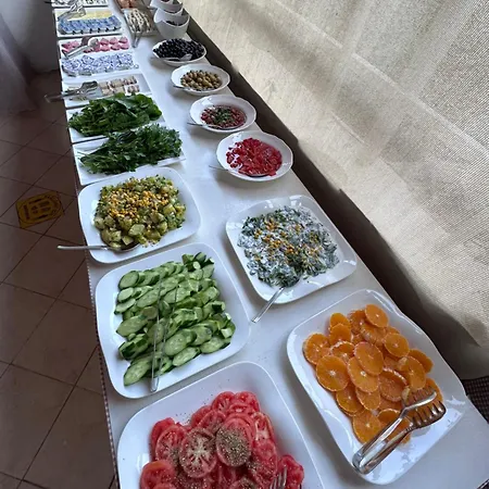 Mimosa Homestay