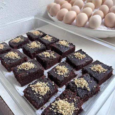 منزل للإقامة Mimosa كاس