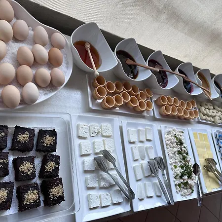 منزل للإقامة Mimosa