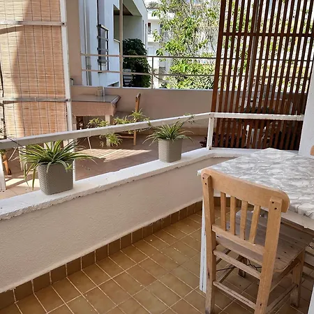 Mimosa * Kaş