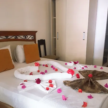 Mimosa * Kaş