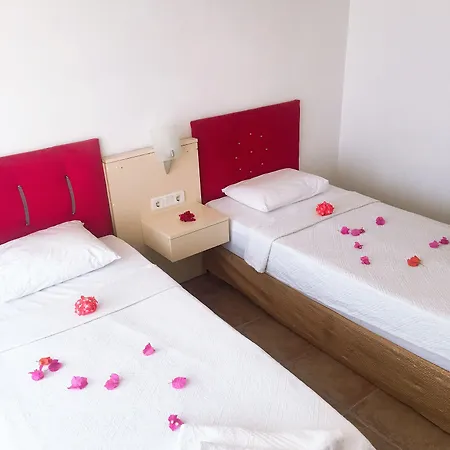 Mimosa Kaş
