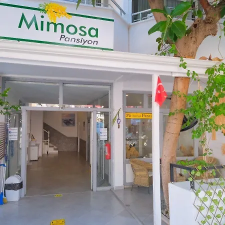 Privat bolig Mimosa