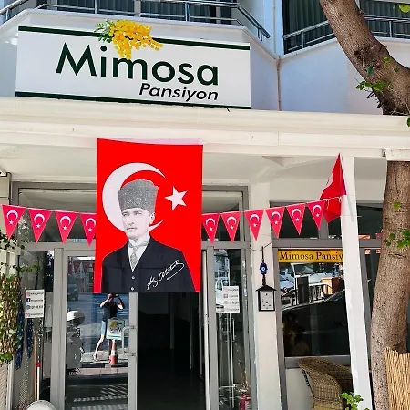 Mimosa منزل للإقامة *