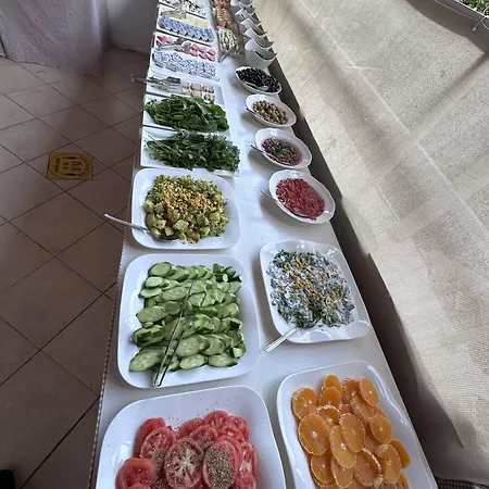 Mimosa * Kaş