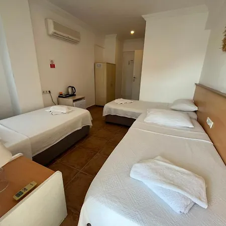 Mimosa Homestay szállás