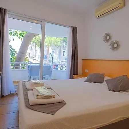 Mimosa * Kaş