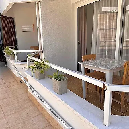 Accommodatie bij particulieren Mimosa
