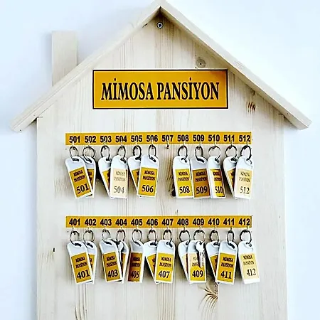 Mimosa Pansiyon *