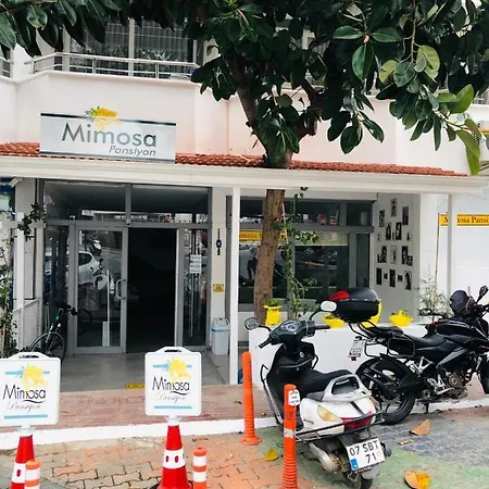 Mimosa Privatunterkunft