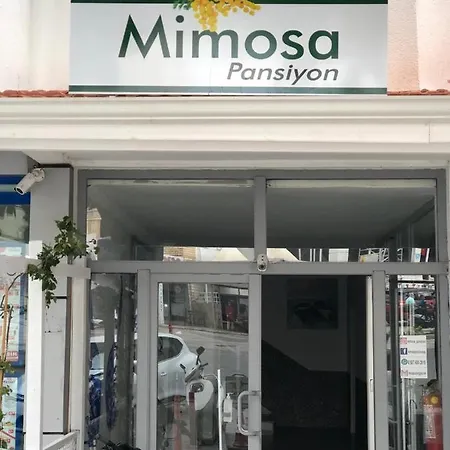 Mimosa Privatunterkunft Kaş