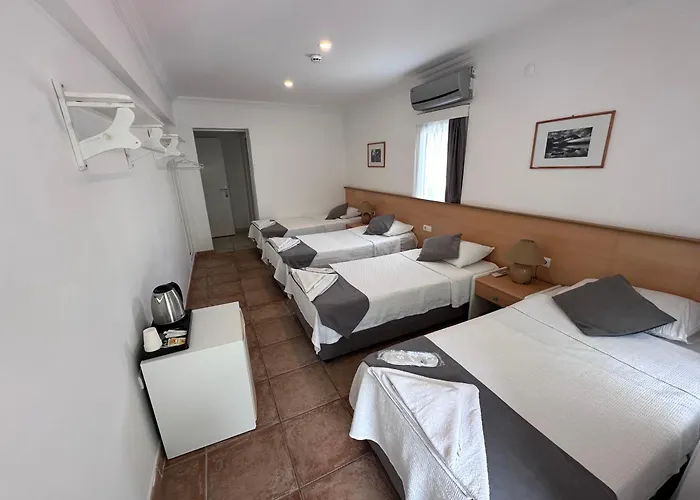 Mimosa Kaş