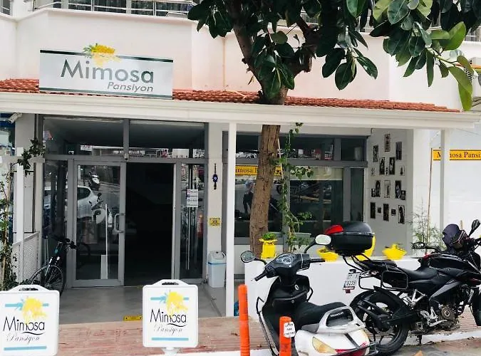 Mimosa Privat bolig